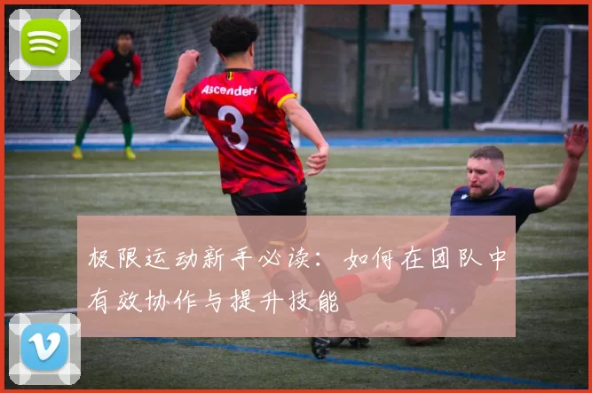 极限运动新手必读：如何在团队中有效协作与提升技能