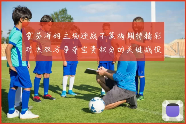 霍芬海姆主场迎战不莱梅期待精彩对决双方争夺宝贵积分的关键战役