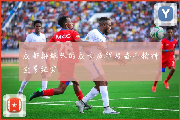 成都排球队的成长历程与奋斗精神全景纪实