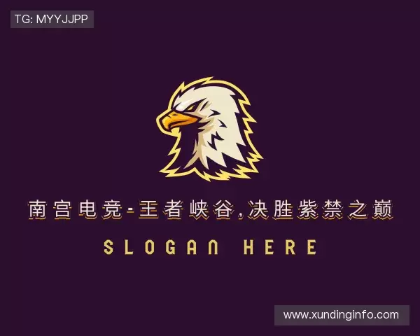 认识南宫电竞